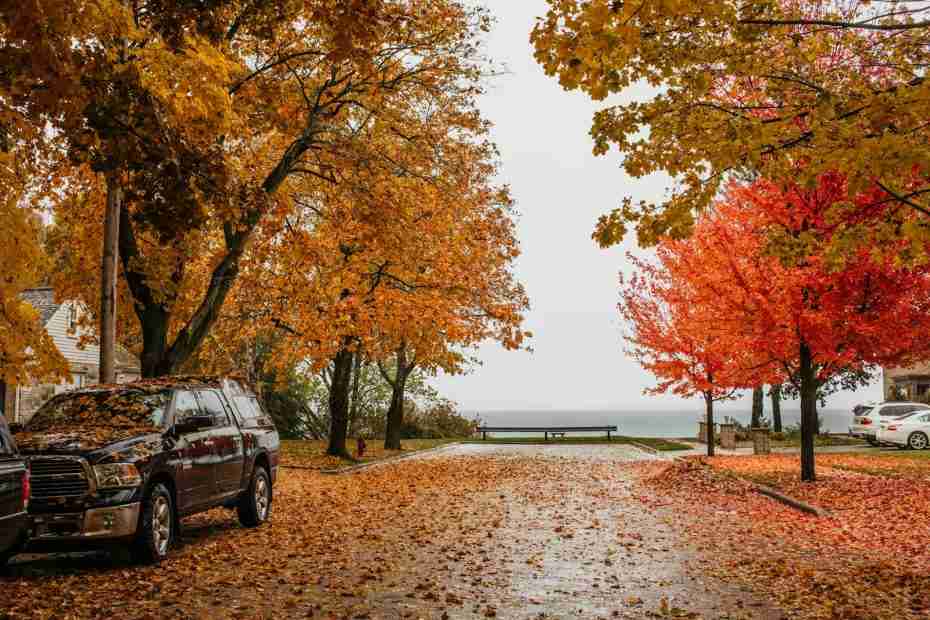 black suv parked near brown trees during daytime, fall colors, door county, lake michigan, green bay