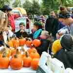 annual Fall Harvest Festival