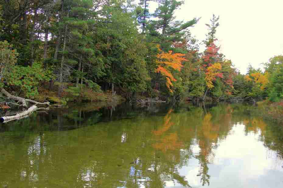 Glen Arbor, Michigan fall colors along river photo